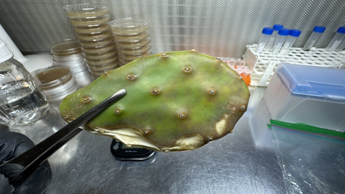 Josh McGinnis tweet media