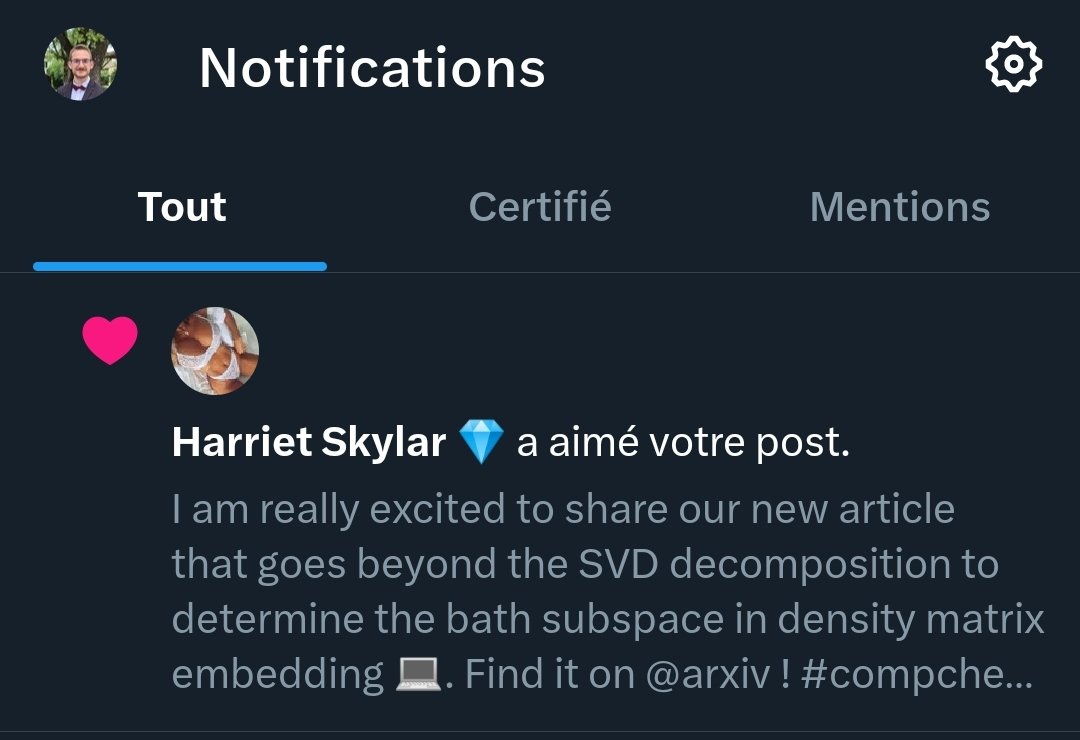 quentin_marecat's tweet photo. Je pense que Harriet Stylar est tout aussi excité que moi à propos de mes travaux d'embedding fonctionnel de la matrice densité réduite. Ou alors c'est un bot. https://t.co/WMU3oF5iEt