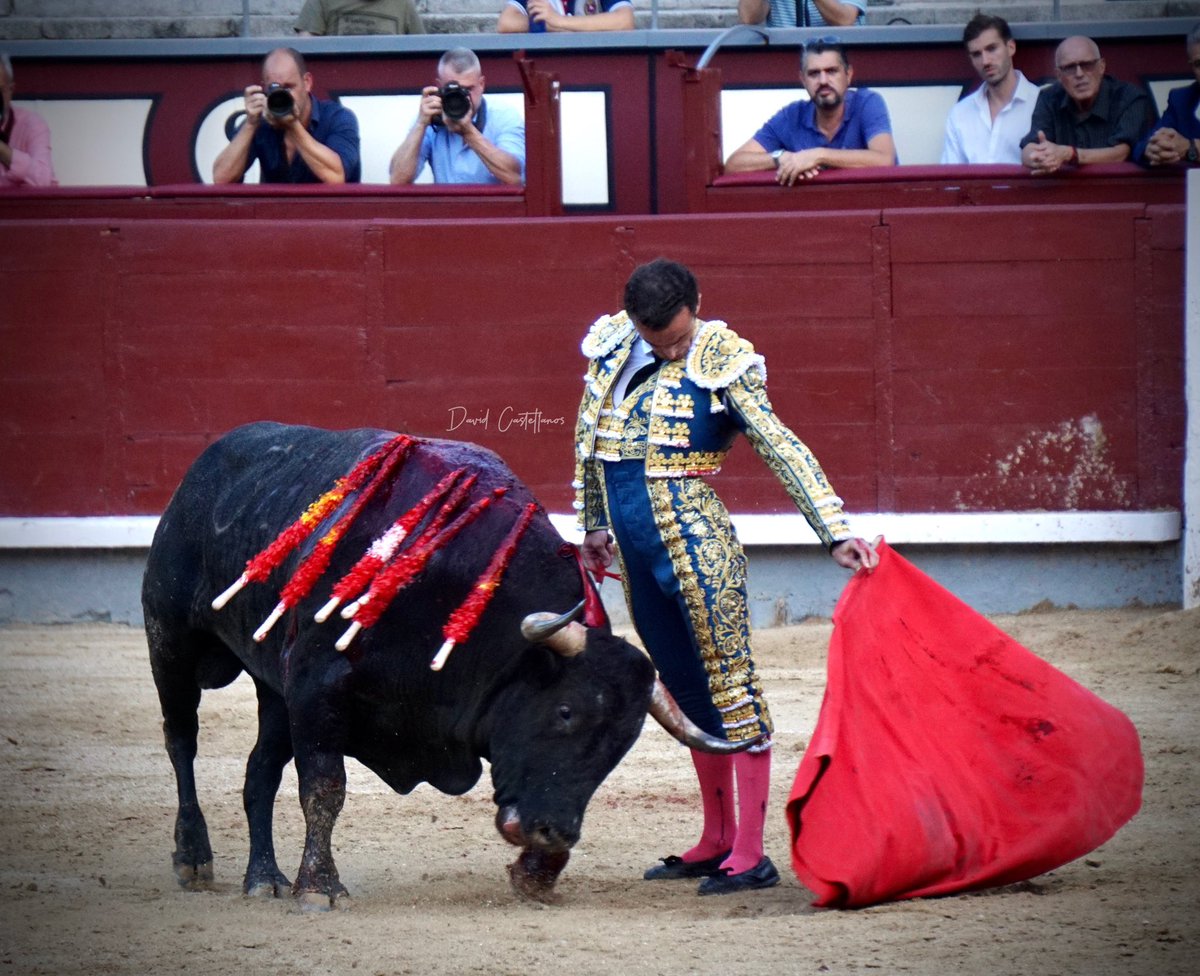 Fotos Taurinas Castellanos Villamayor tweet media