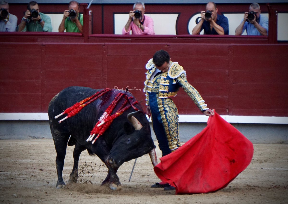 Fotos Taurinas Castellanos Villamayor tweet media