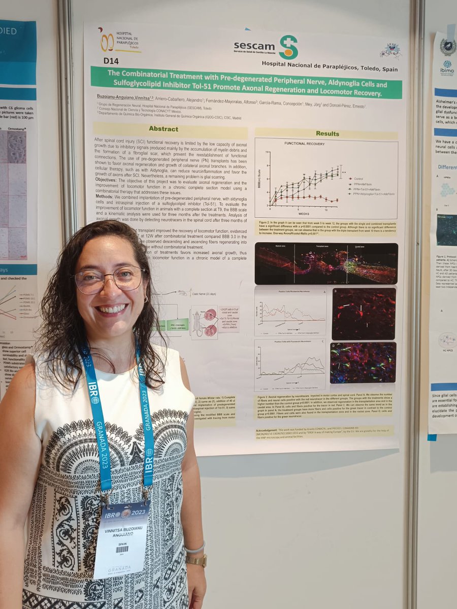 HNPdivulga1's tweet photo. Seguimos: Vinnitsa Buzoianu @vinniba ha presentado un "coctail" de tratamientos para favorecer la #regeneracionaxonal y la recuperación motora.
@HNParaplejicos @SENC_ #axonalregeneration #motorrecovery #IBRO2023 https://t.co/Fg4pC5lUar