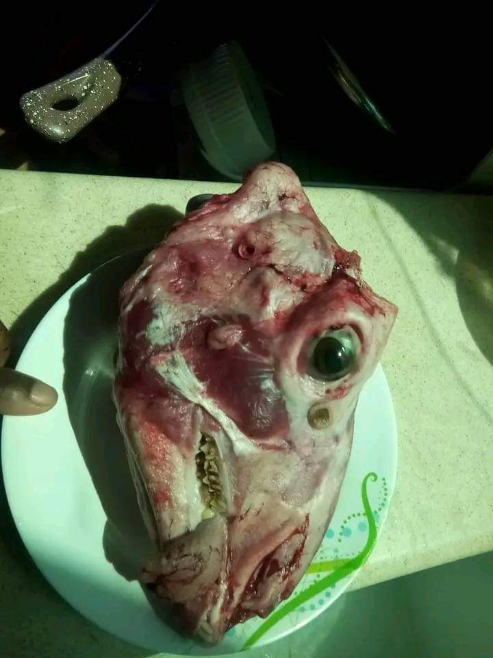 Mko? mambo ni live Kwa chef chef☑️☑️it's about time 😋😋😋