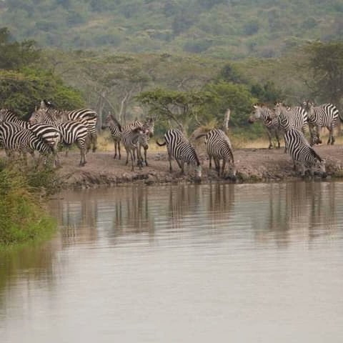 fronttours's tweet photo. The beautiful views of Uganda https://t.co/QLg9nxizwj