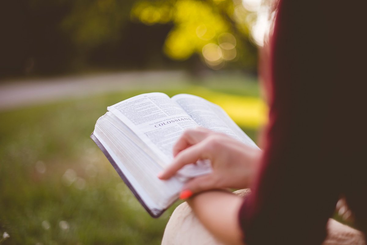 During the #hotweather , one of the wonderful ways of enjoying the #beautiesofnature is to simply sit with your back to a tree, in a wild garden or green space and #readabook. It's really great for your #mentalhealth - try it. #hotweathertips #lovenature