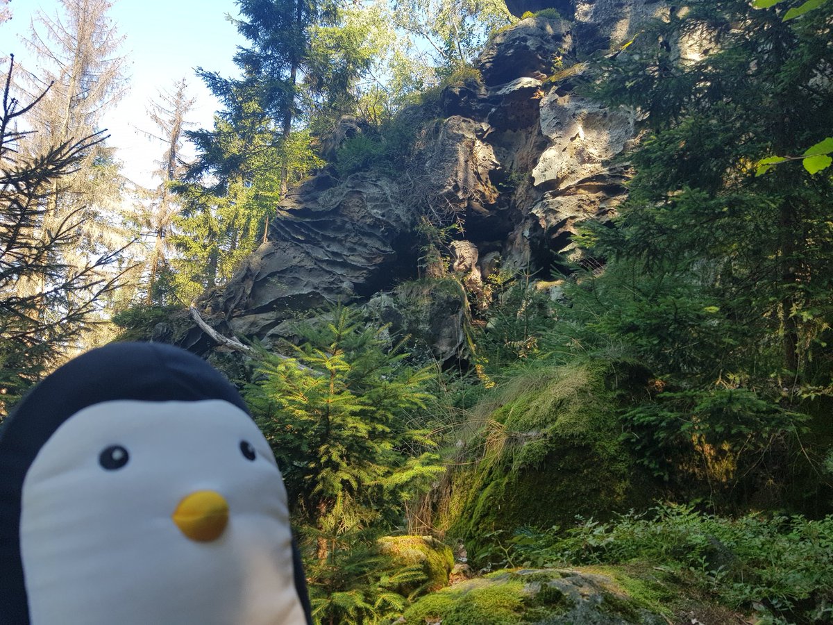 PinguinFridolin's tweet photo. Today we made also a nice #hike and stopped at #Muschelsaal in #Oybin. https://t.co/dmG1T0tqdS