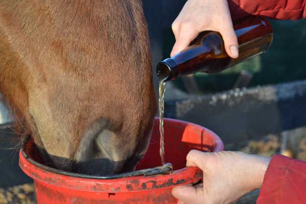 equine__dentist's tweet photo. cold beer on a friday night, pair of jeans that fit just right https://t.co/JhfyGCDkEw