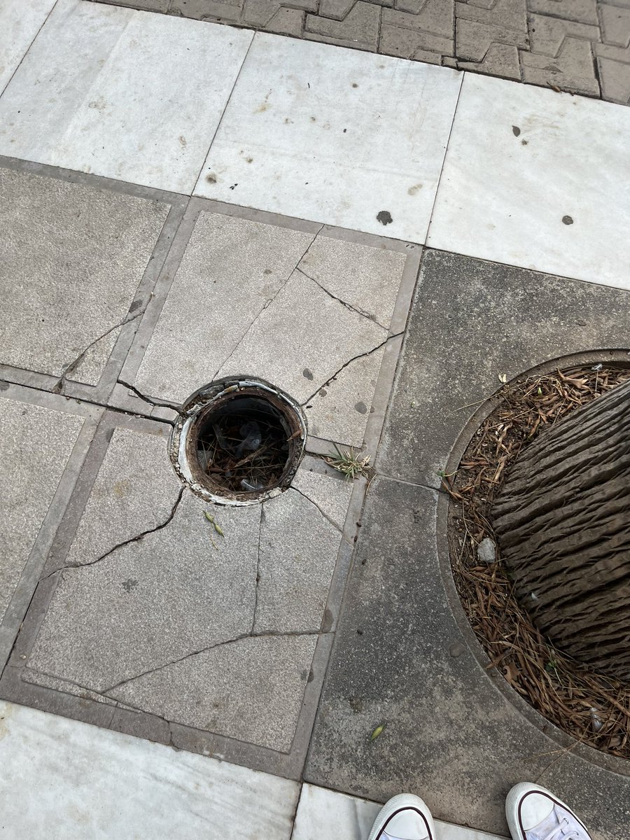 placi_glo's tweet photo. @aytoalm como es posible que tengáis esto así en La Rambla? https://t.co/WeBKdOp99E