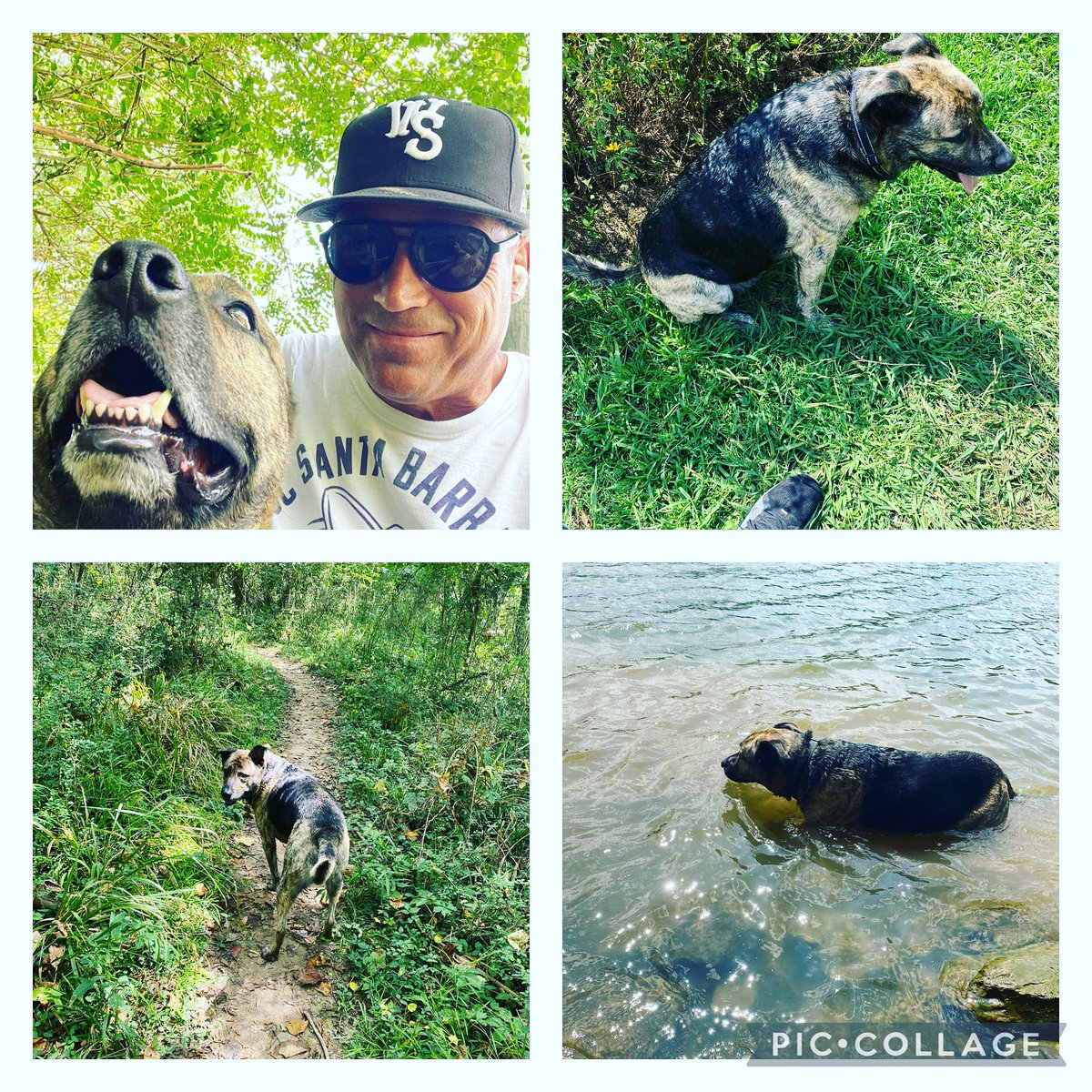 branmills22's tweet photo. Great hike with the dude today! https://t.co/knVyP2tLtW