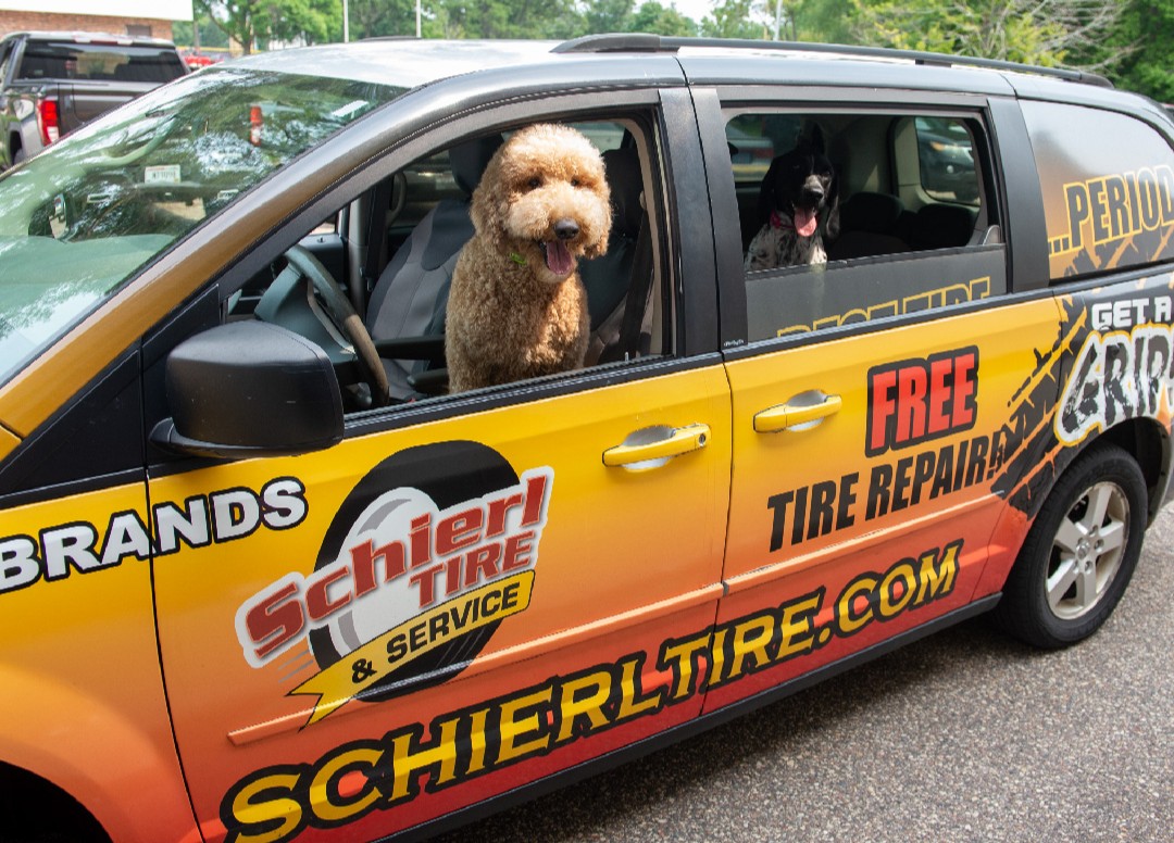 Where do dogs park their cars? In the BARK-ing lot, of course! 😂