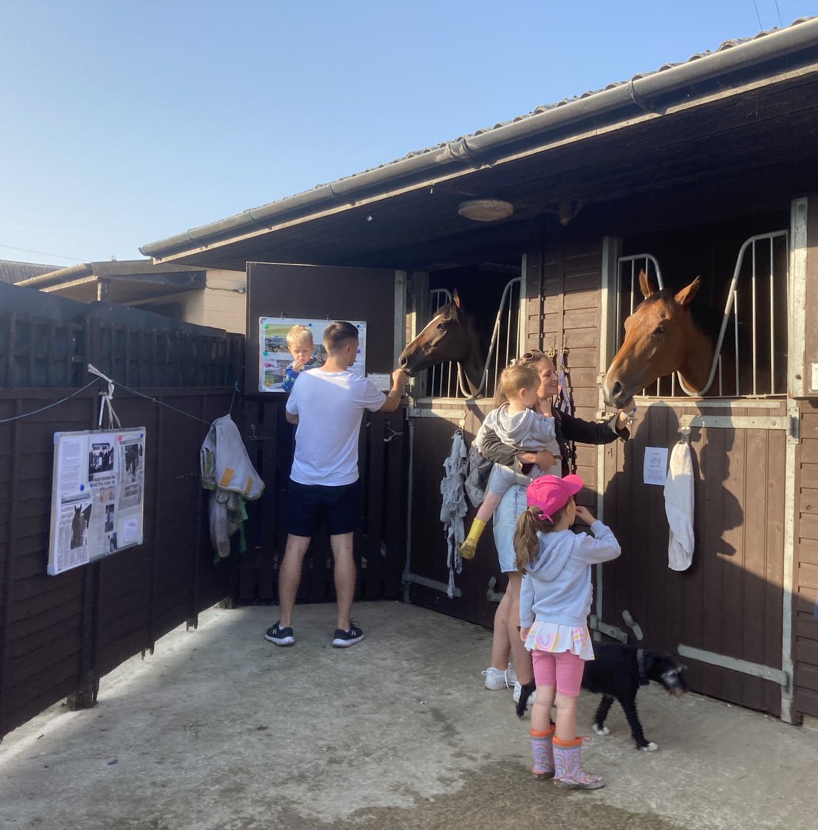 NewstartRacing's tweet photo. It was wonderful to see over 200 people at our small yard this morning for Malton Stables Open Day. Thank you for visiting us. it was great to see you and chat about our horses and share experiences. Lovely weather all morning. ⁦@Racingwelfare⁩ #GreatBritishRacing https://t.co/Mfwkj9VRgU