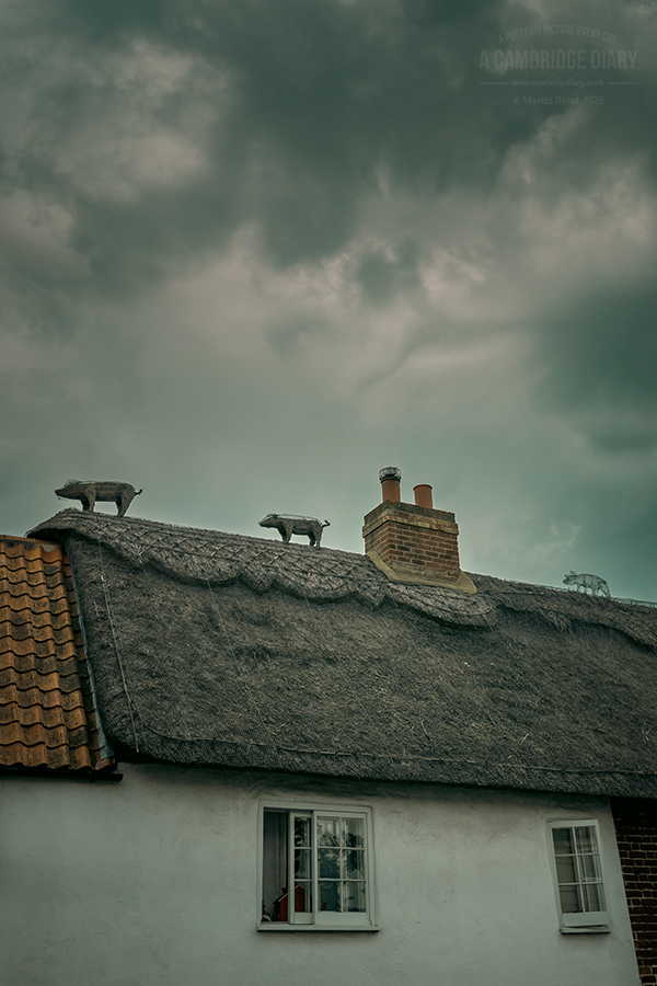 A Cambridge Diary tweet media