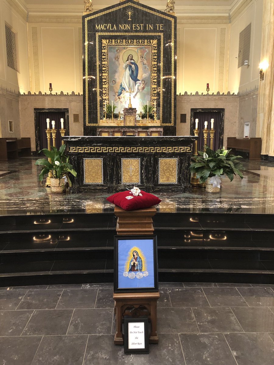 BullGator84's tweet photo. At the Cathedral in @diospringfield for the @KofC  Silver Rose Prayer Service… https://t.co/e00HhNs5Bm