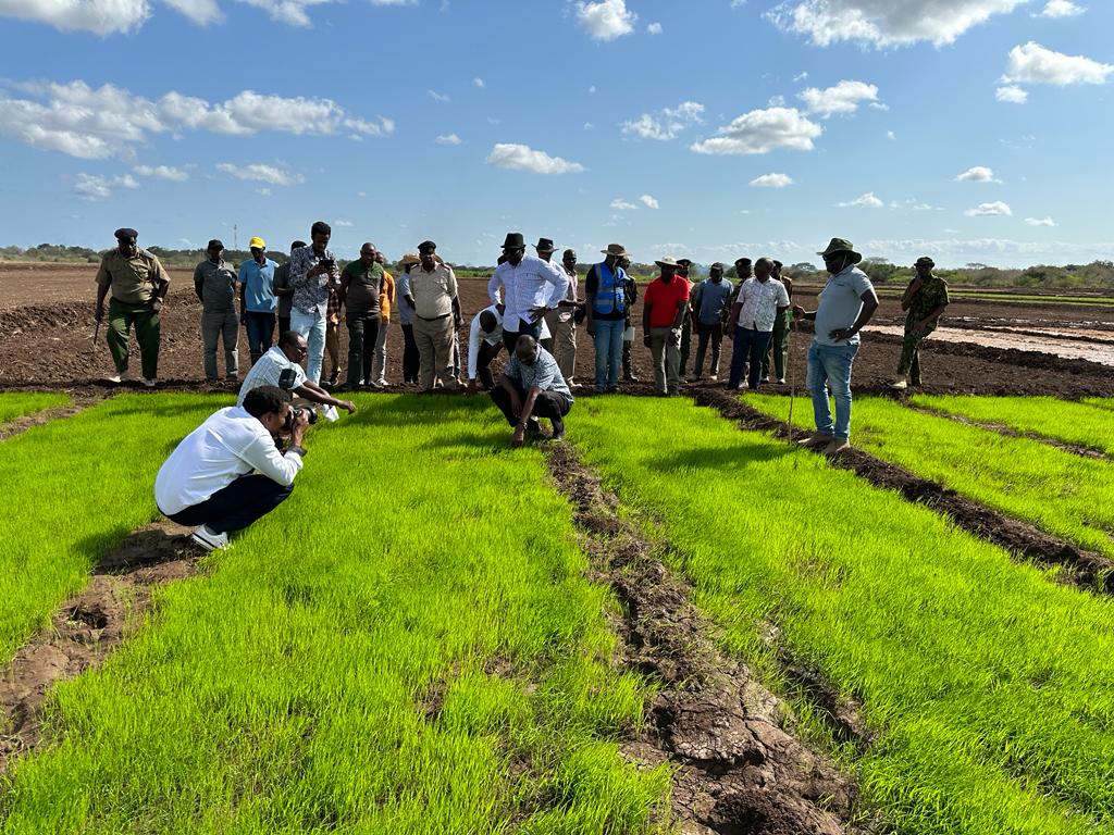 Roba_Liban_Duba's tweet image. 3: During his visit, we discussed how TARDA, through #TDIP is aligning with the Presidential Directive on food security as we explore the vast potential of the Project. Together, we're cultivating progress for our nation. 🌿🤝 #PresidentialDirective #AgriculturalInnovation