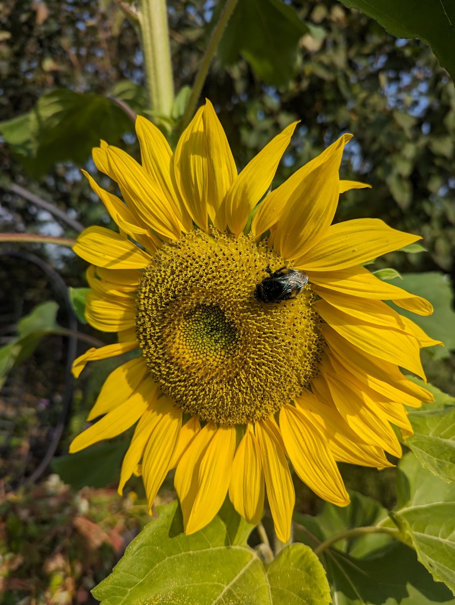 Today was a good day and a really chill evening