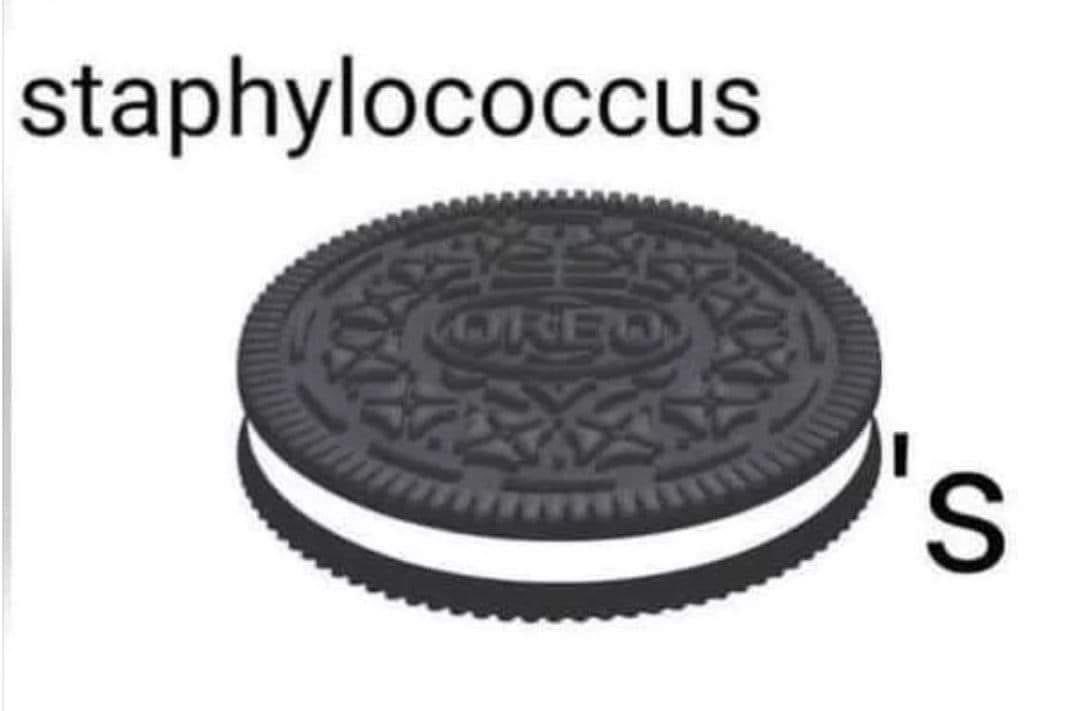 Microbiological humor.