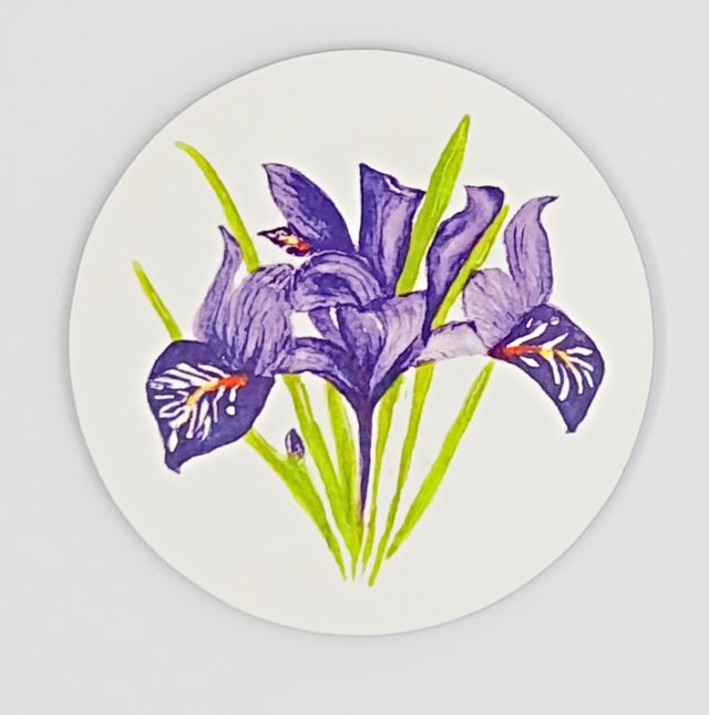 A lovely coaster by Kay. What a great gift idea 
Iris Coaster  art-by-lacey.sumupstore.com/product/iris-c… #handpainted #coaster #handmadegifts #flowerlovergift