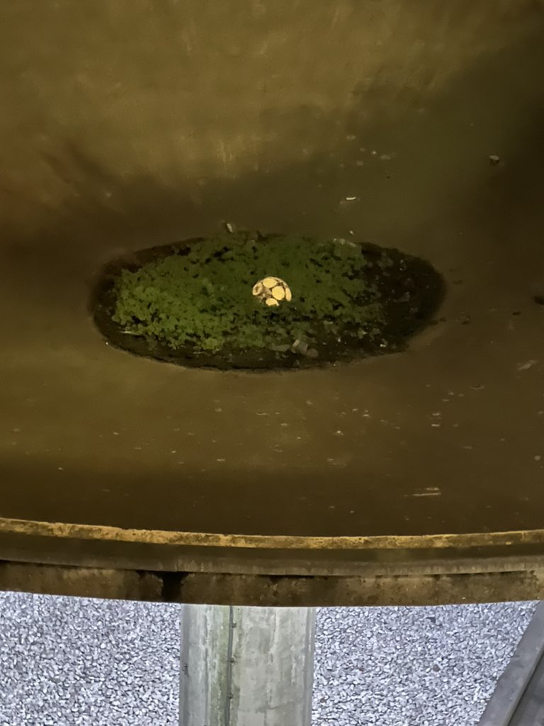The greatest lost football in the whole of the UK?