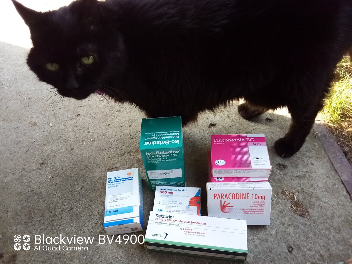 fredbibi's tweet image. La Numaine elle a encore une maladie zarbi. Elle est raplapla...On vérifie son traitement avec Yaya et on fait le Soutine. Et on mange des chaucisses.