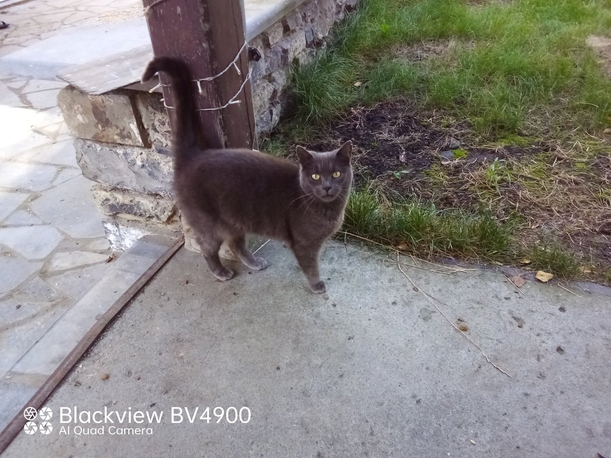 fredbibi's tweet image. La Numaine elle a encore une maladie zarbi. Elle est raplapla...On vérifie son traitement avec Yaya et on fait le Soutine. Et on mange des chaucisses.