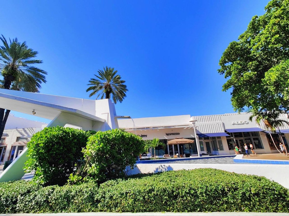 Keep Virtuous Thought 🇺🇸 tweet media