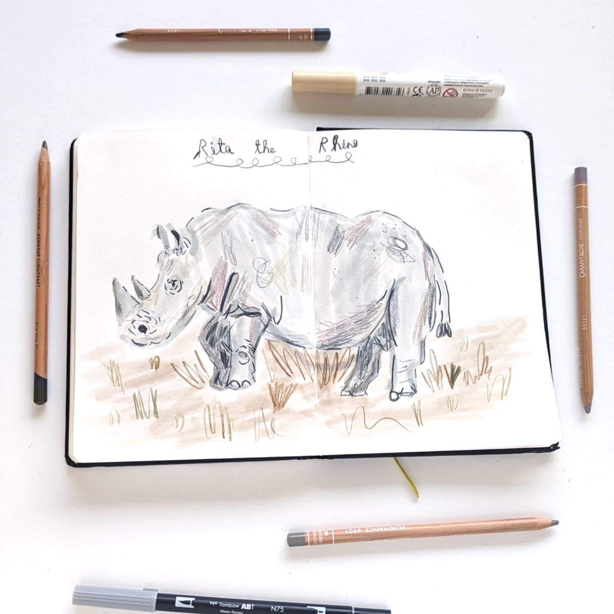 beccanuckley's tweet photo. Been drawing rhinos with the kids. https://t.co/sfRPYKQIFx