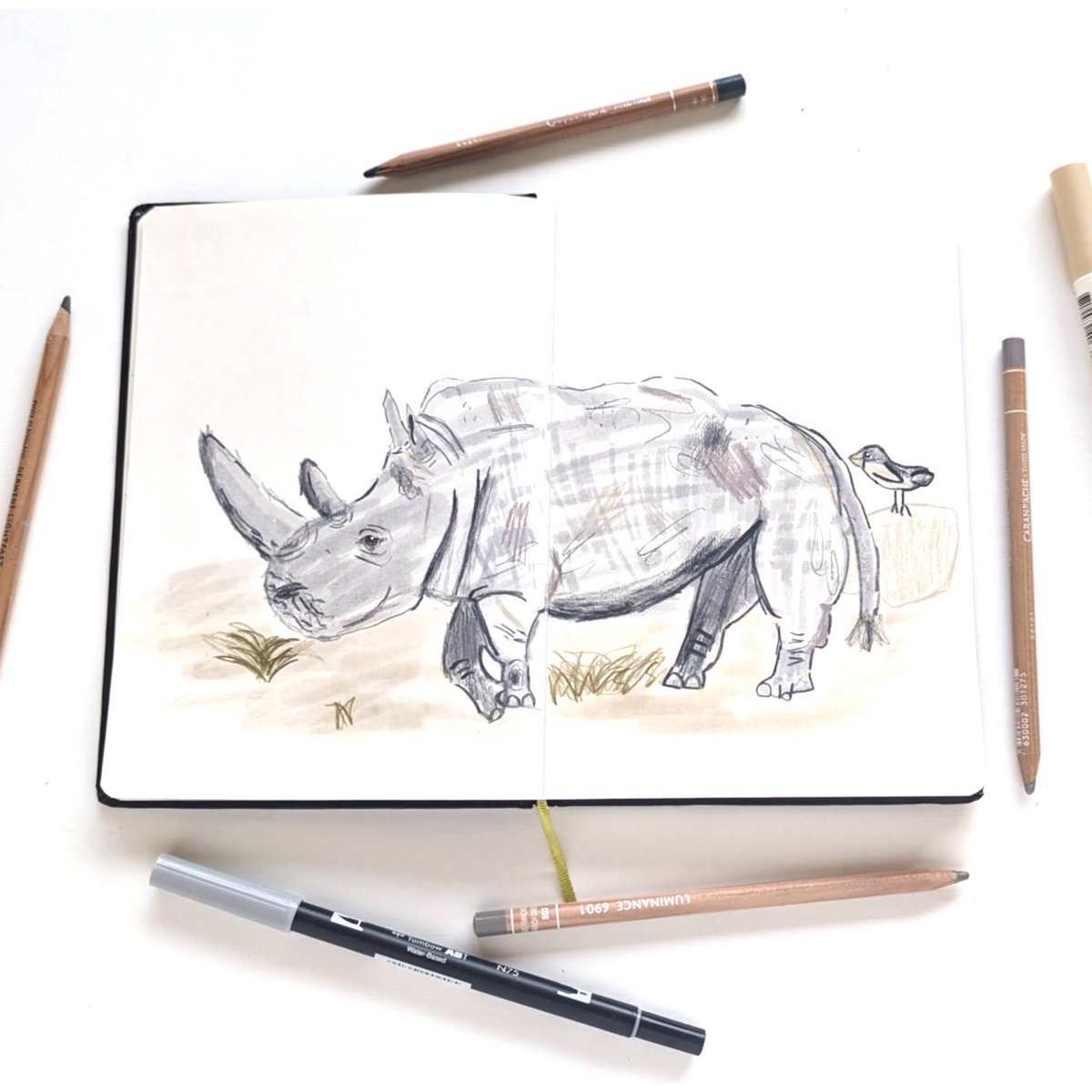 beccanuckley's tweet photo. Been drawing rhinos with the kids. https://t.co/sfRPYKQIFx