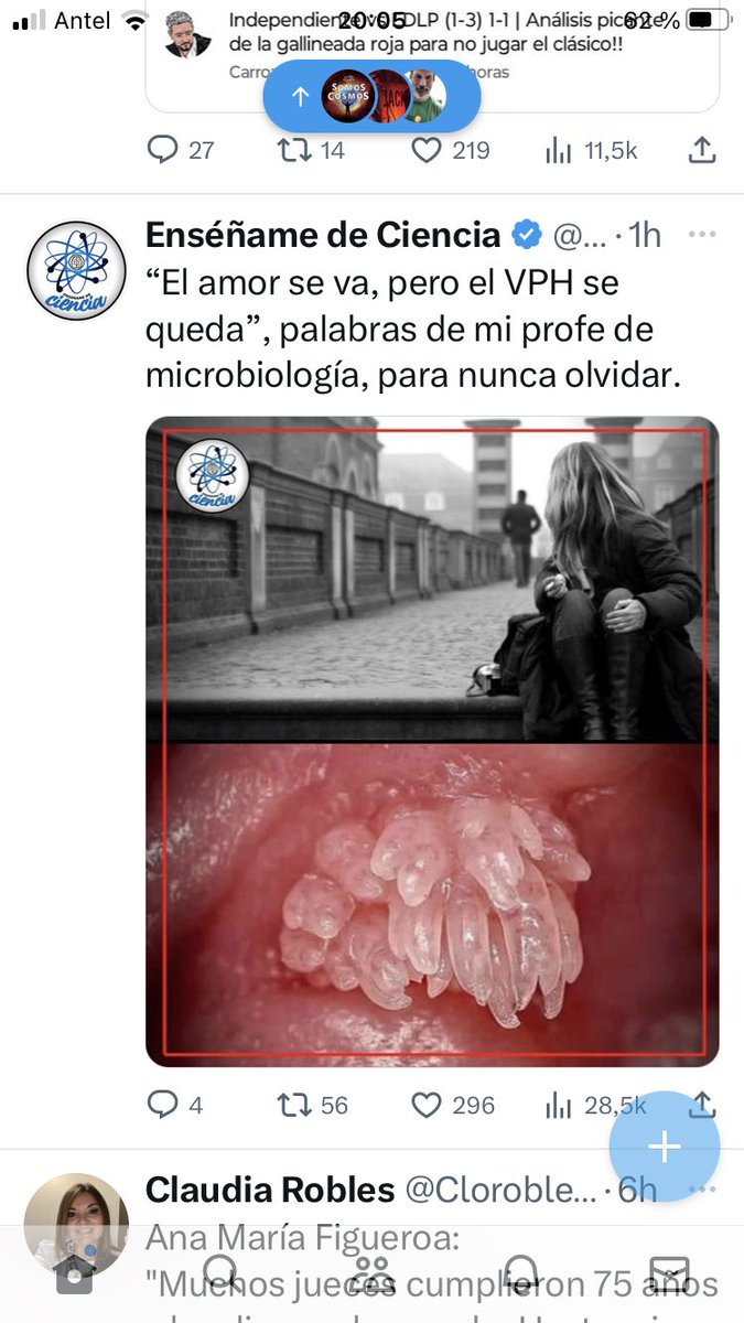 En el año 1998 el pediatra mando a que le aplique la vacuna para el VPH a mis hijas eran tres dosis que costaban a Plata de hoy 60k $ cada dosis una fortuna ! Se las aplique la mayoría de las nenas no podrían y no estarían protegidas adivinen quien las puso disponibles gratis ?