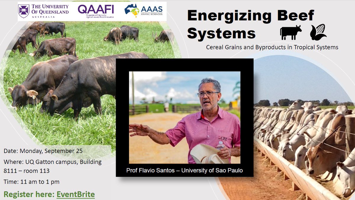 UQ @QAAFI & @AAAS_Qld invite you to a seminar by visiting scientist, Prof Flavio Santos, exploring innovative strategies to optimize cattle feed in grazing and feedlot systems Monday 25th September, 11am AEST Online or in-person at UQ Gatton Campus eventbrite.com.au/e/energizing-b…