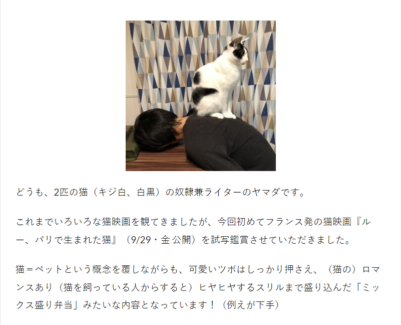 m_nerds_PR's tweet photo. 【9/12 更新】
映画『ルー、パリで生まれた猫』レビュー｜猫飼いは悶絶＆冷や汗必須？フランス発の尊い猫映画とは？

URL：https://t.co/gys3qXKzvl

9/28により公開の本作は猫のゴロゴロ音も堪能できる！？

ライター：ヤマダマイ

#映画館でパリ猫ルー　#ルーパリで生まれた猫 https://t.co/KKzUOMt2h2