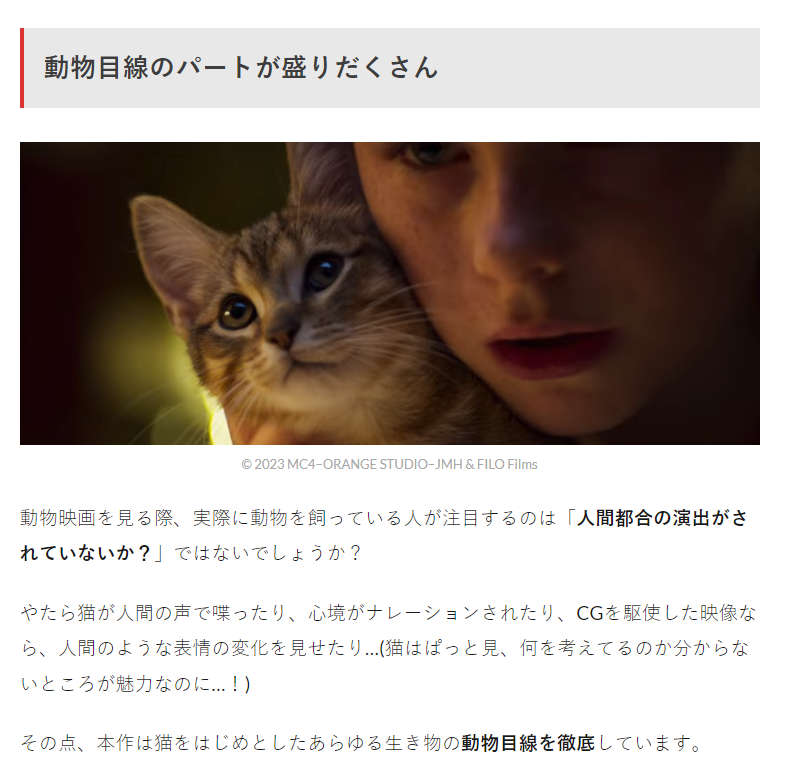 m_nerds_PR's tweet photo. 【9/12 更新】
映画『ルー、パリで生まれた猫』レビュー｜猫飼いは悶絶＆冷や汗必須？フランス発の尊い猫映画とは？

URL：https://t.co/gys3qXKzvl

9/28により公開の本作は猫のゴロゴロ音も堪能できる！？

ライター：ヤマダマイ

#映画館でパリ猫ルー　#ルーパリで生まれた猫 https://t.co/KKzUOMt2h2