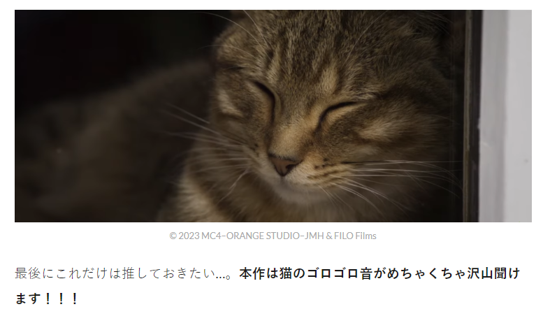m_nerds_PR's tweet photo. 【9/12 更新】
映画『ルー、パリで生まれた猫』レビュー｜猫飼いは悶絶＆冷や汗必須？フランス発の尊い猫映画とは？

URL：https://t.co/gys3qXKzvl

9/28により公開の本作は猫のゴロゴロ音も堪能できる！？

ライター：ヤマダマイ

#映画館でパリ猫ルー　#ルーパリで生まれた猫 https://t.co/KKzUOMt2h2