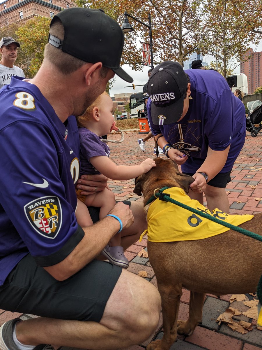 A big thank you to the @Ravens for inviting us to Ravens Walk today! Our adoptable shelter dogs and cats had a blast greeting fans! Please consider donating to 'Kickoff to Save Lives' and helping these shelter animals. Learn more about how you can help: barcs.org/kickoff/