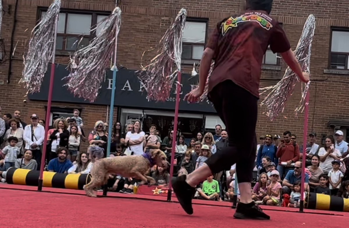 Emma Dailey tweet media