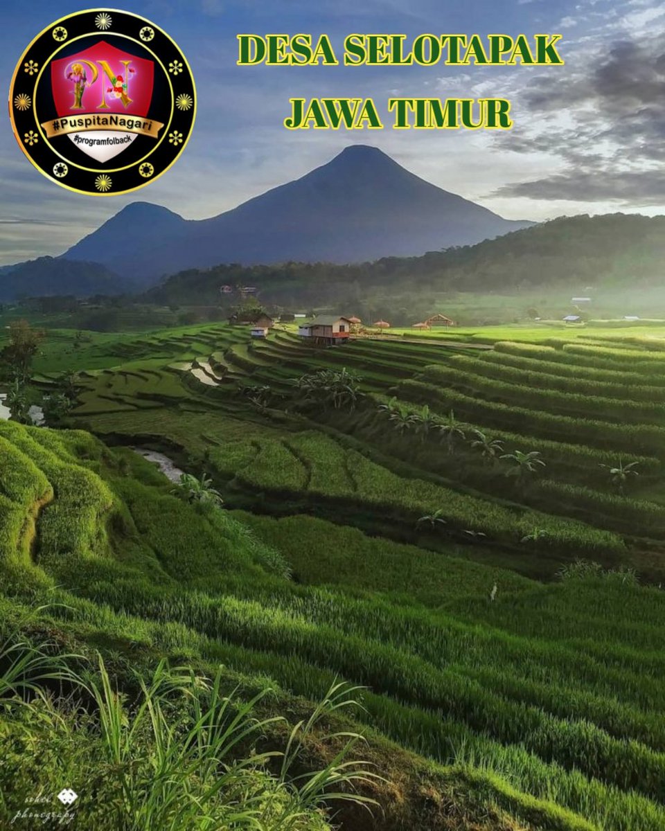 Violleta Vio tweet media