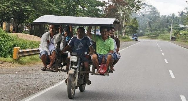 Not Elon Musk tweet media