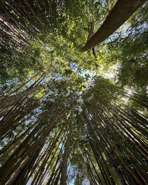 Australia - Sydney
An ambitious woman radiates her own light wherever she is.
#Universal #Amusement #travel #life #scenery #soul #culture #customs #experiences #sights #outdoors