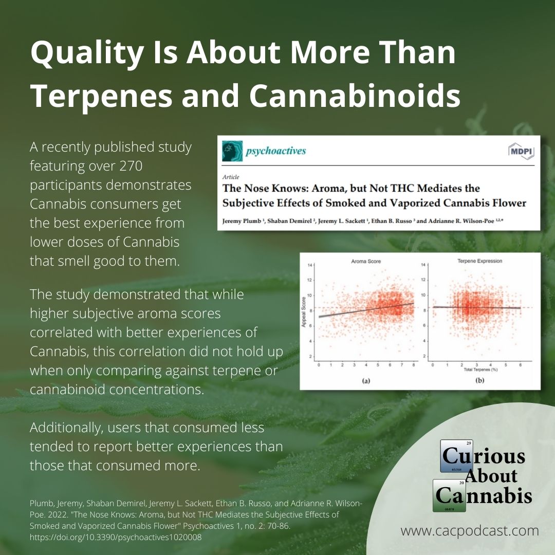 Cannabis quality is about more than THC.
Cannabis quality is about more than terpenes.
Aroma is more than terpenes.

Thank you for coming to my Ted Talk.

#CannabisEducation #CuriousAboutCannabis