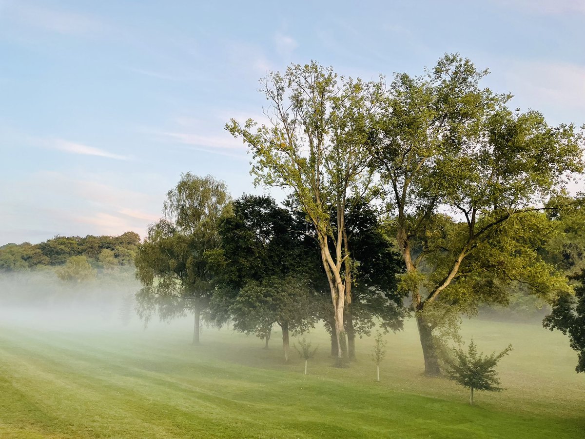 Nick Jones tweet media