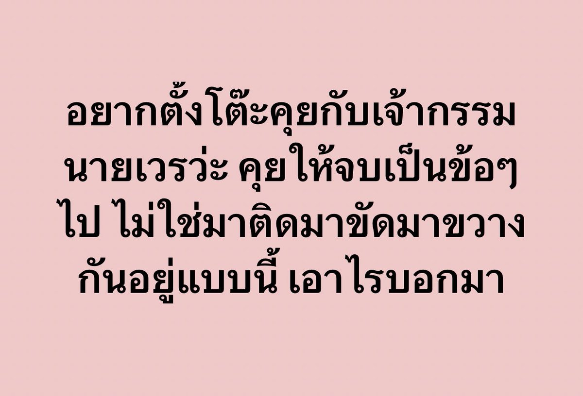 ช่างแม่ง🐰🏳️🌈 tweet media