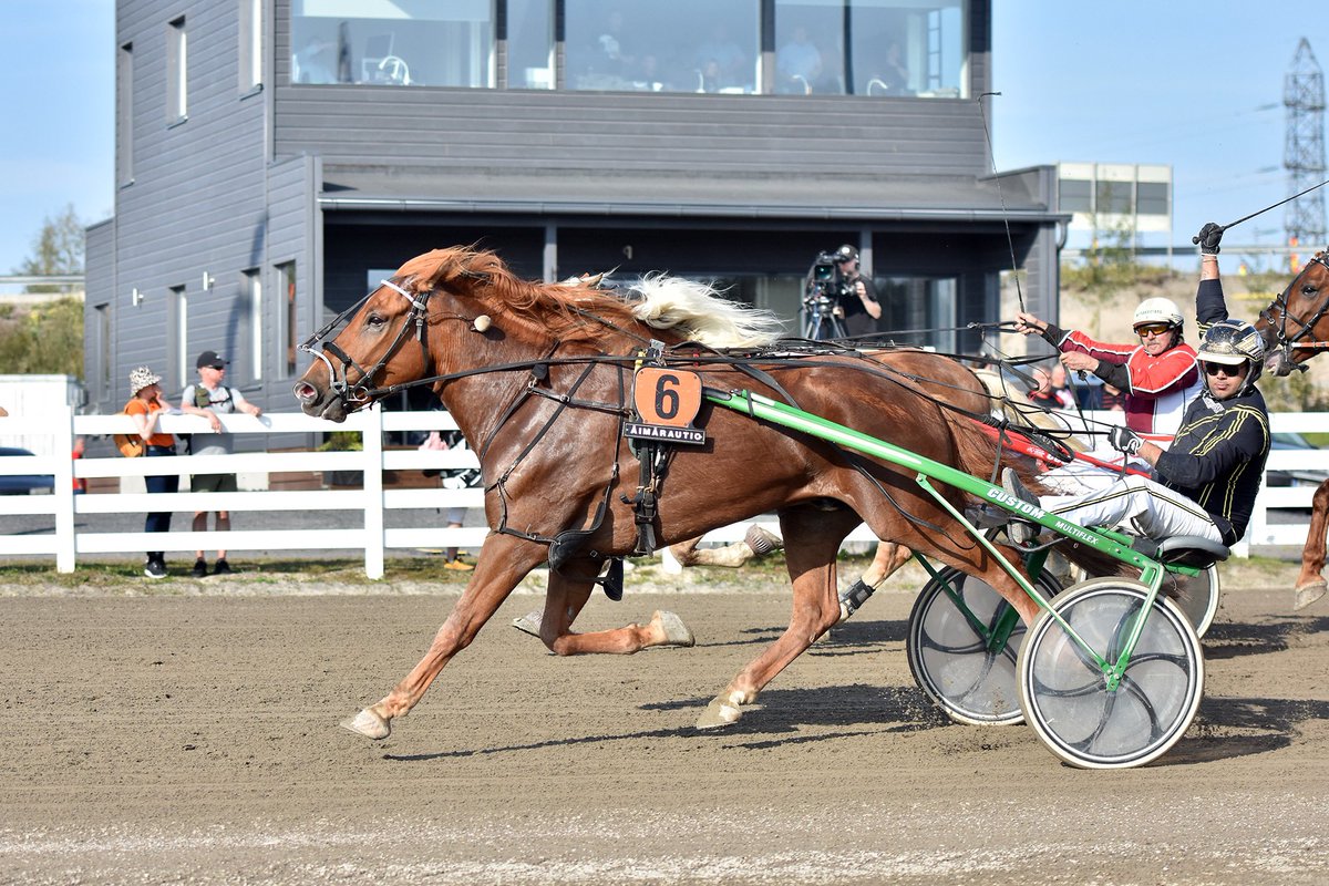 Viikonlopun Kavioliiga-ravit ja Oulu Express -finaalit kilpailtiin Oulun Äimärautiolla.

🥇 Reality Hill
🥇 Jakob K.Boko
🥇 Tuulian Sälli
🥇 Ari Potter
🥇 Shackhills Twister
🥇 Sofia Evo
🥇 Kyle Web

📷: Mia Mäki-Maunus