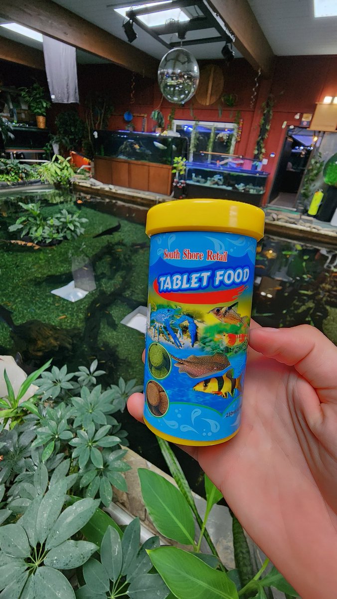 ohiofishrescue's tweet photo. FISH FOOD GIVEAWAY!!! 

To Enter:
- be sure to be following
- like the post 
- repost 
- comment when done

Winner chosen at random. https://t.co/eUBdtVJrJP