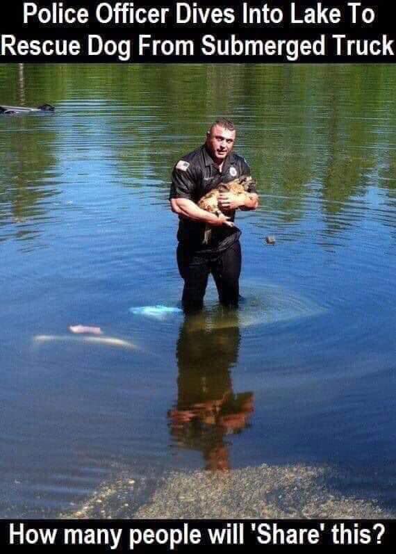 Officer David Harriman responded to a call after a 59-year-old woman accidentally submerged her truck in more than 8 feet of water. The woman was able to escape from the vehicle but her dog remained trapped.

Harriman, an avid dog lover, removed his gun belt and dove into the