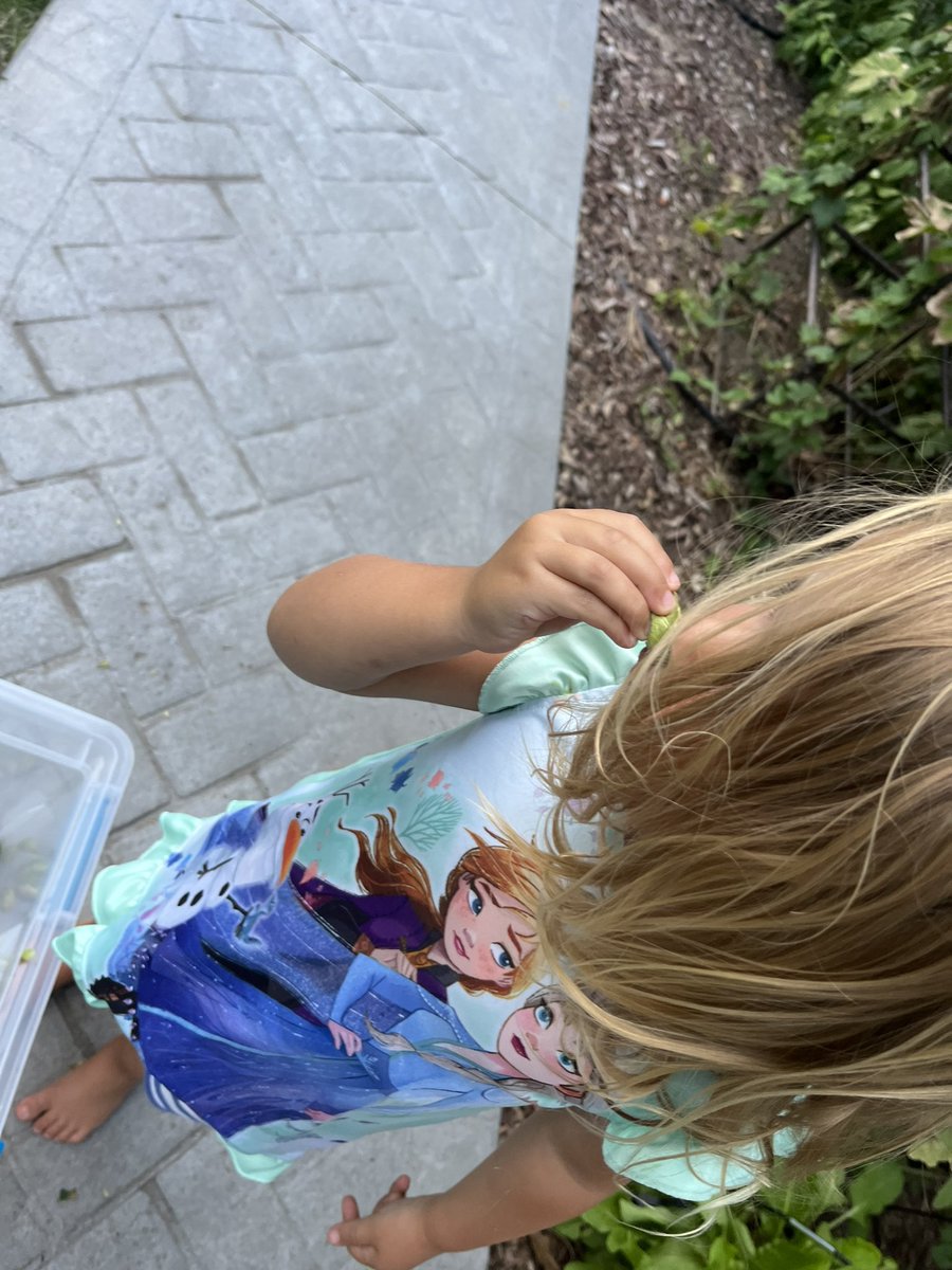 Kyle Clark tweet media