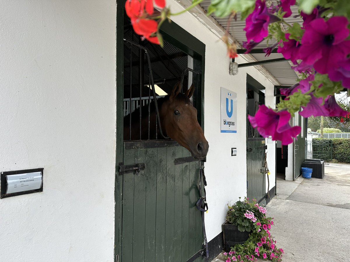 Racing's Inside Track tv tweet media