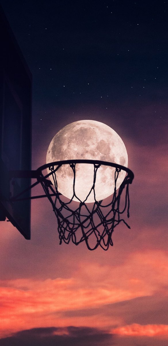 🌜moonlight🌛 tweet media