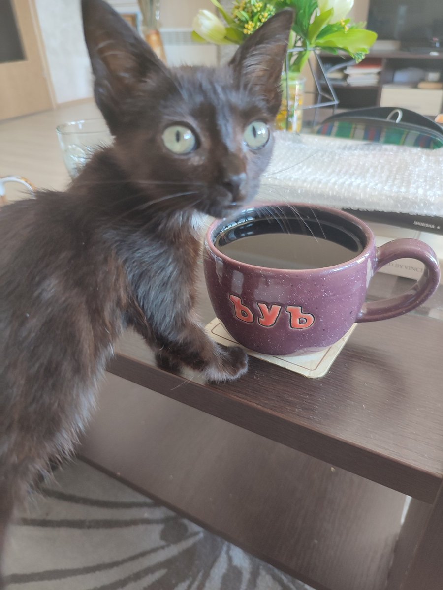 ☙ Gaallo tweet media