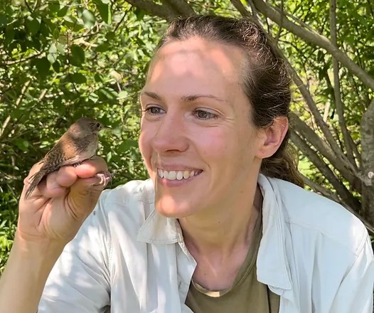 Karan Odom’s lab at University of the Pacific is seeking Master's students interested in studying the hormonal and genetic regulation of female song and evolutionary drivers of sexual dimorphism in birdsong. See karanodom.com for more information!