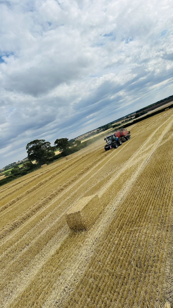 AlistairBrook's tweet photo. Final few bales of the season rounded up today, nice to be back around home for harvest 🇬🇧 https://t.co/IwV3f6WdqK