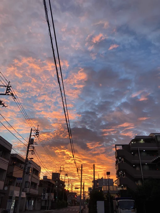おっは