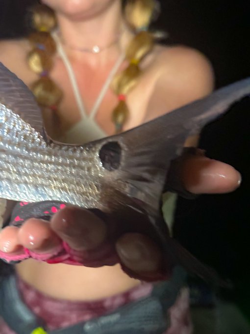 it's safe to say I love redheads https://t.co/SJo8ruPIEa